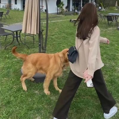 情人知己